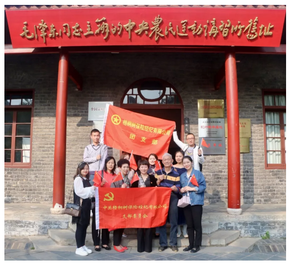 梧桐树保险网,主题教育学习