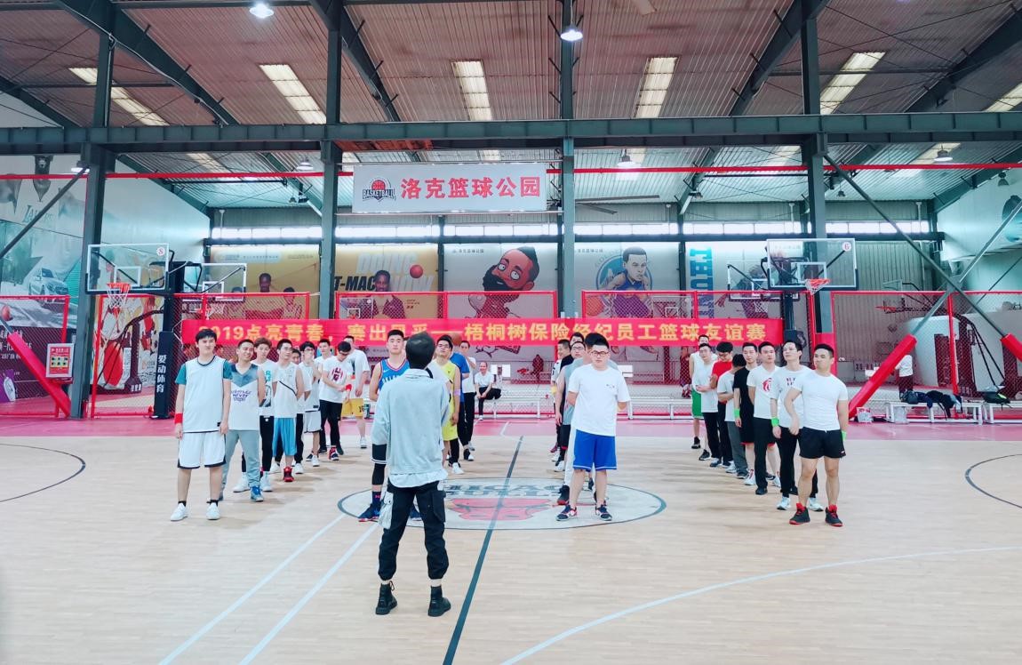梧桐树保险网,团建活动