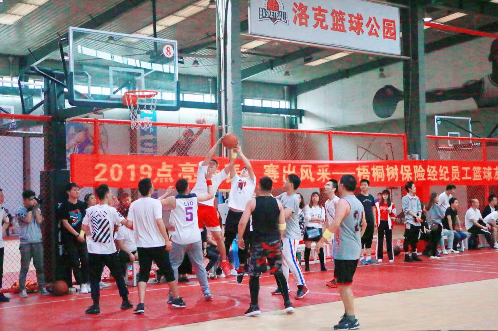梧桐树保险网,团队活动
