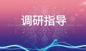 湖北省保险中介行业协会莅临梧桐树保险经纪开展调研指导工作