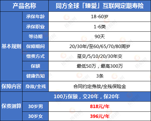 臻爱定期寿险，定期寿险