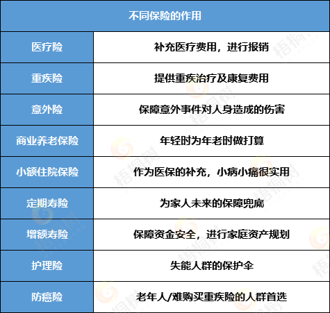 保险,年金险