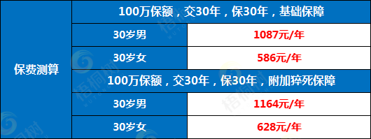 臻爱2022,定期寿险