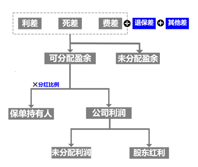 分红险,分红